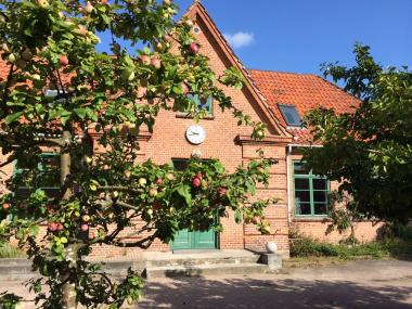 Billede af skolen